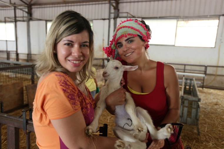 Dairy Khoury Farm Gates Opening